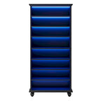9-Tier Narrow Tall Shoe Storage Cabinet with LED Lighting