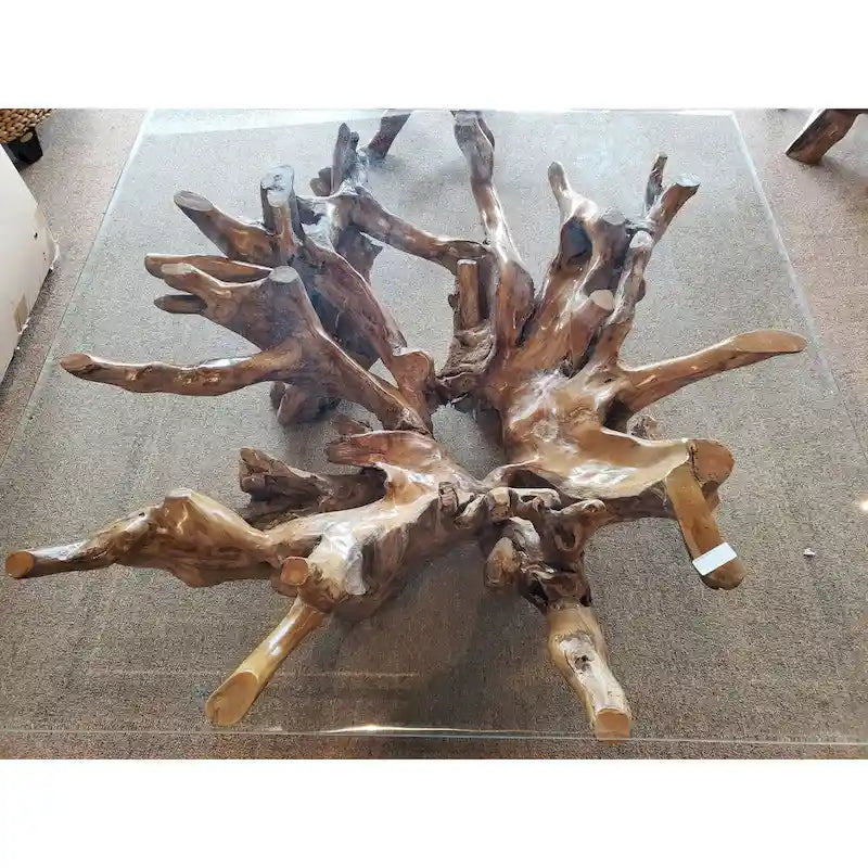 Teak Wood Root Coffee Table with 55-Inch Square Glass Top