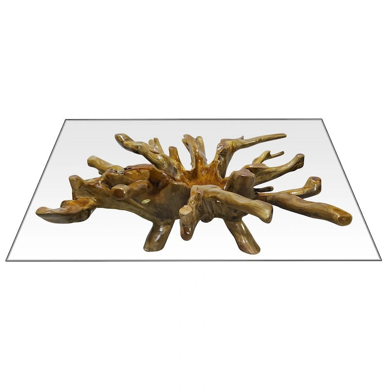 Teak Wood Root Coffee Table with 55-Inch Square Glass Top