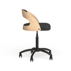 Low Back Office Chair
